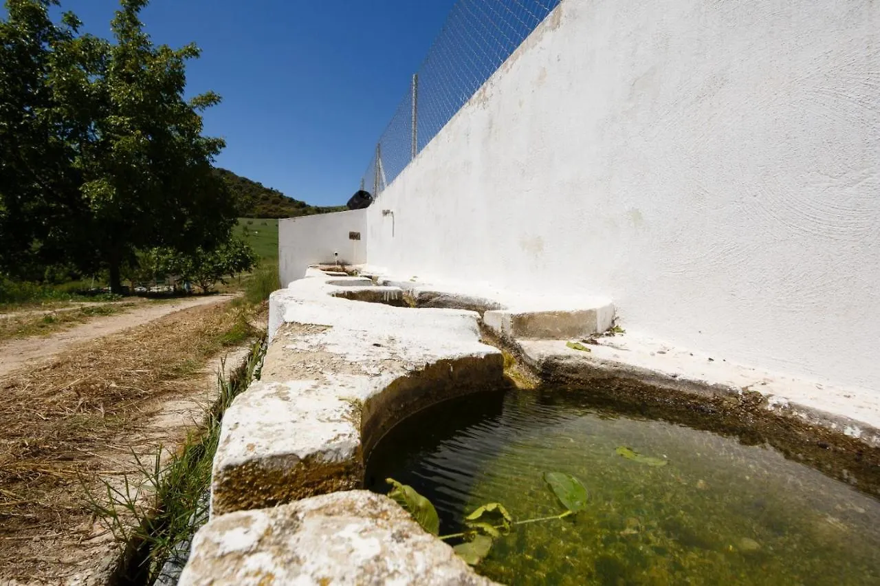 Villa El Chopo Alhama De Granada Spain