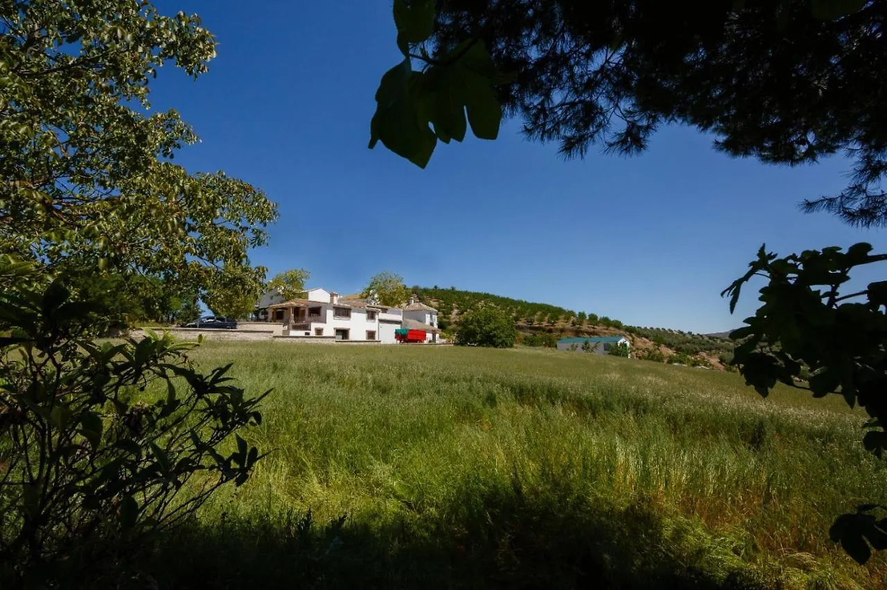 Apartment Villa El Chopo Alhama De Granada Spain