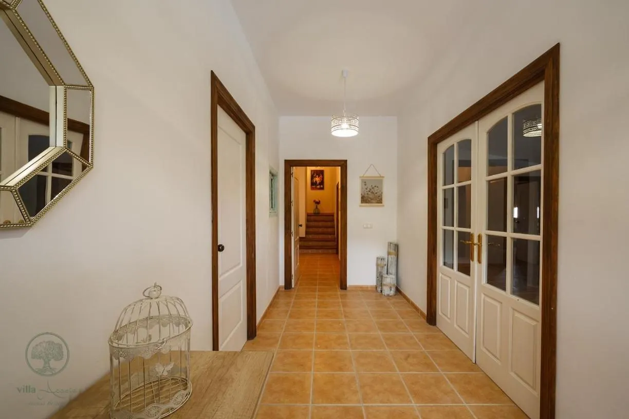Villa El Chopo Alhama De Granada
